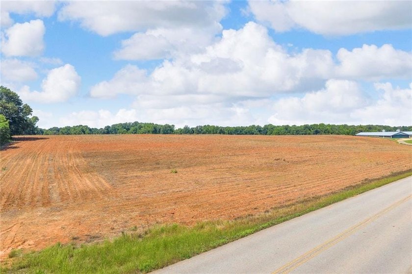 Welcome To Real Farm Life! 51.57 Acre Legacy Estate in Hart - photo 41
