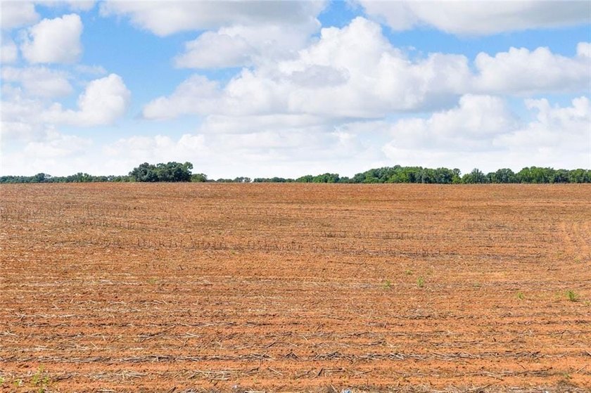 Welcome To Real Farm Life! 51.57 Acre Legacy Estate in Hart - photo 42