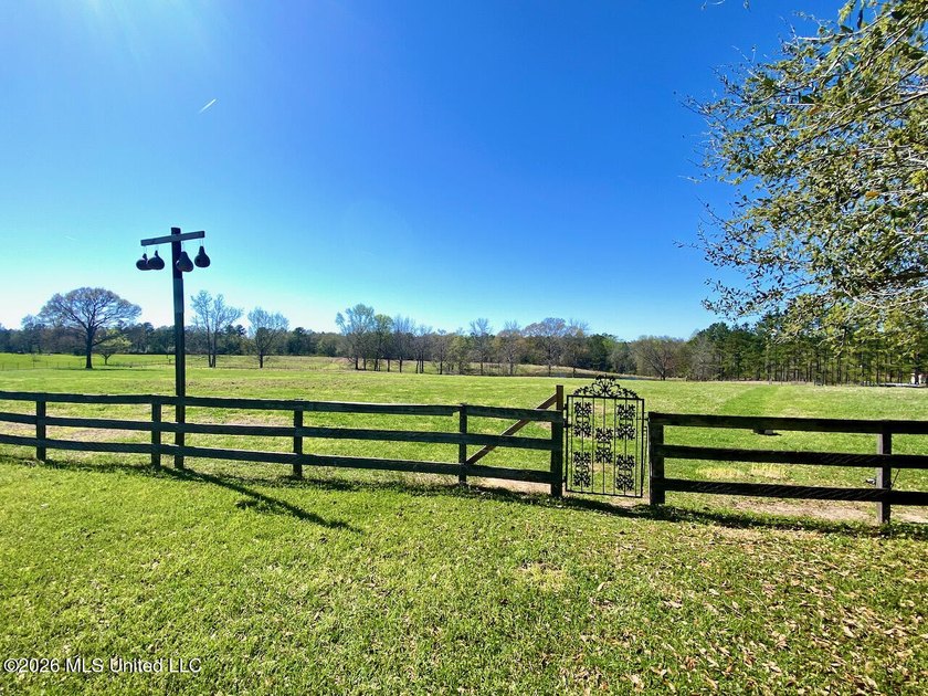 **Dream Horse &amp; Homesteader Paradise - 20 Acres in Lucedale, MS! - photo 11