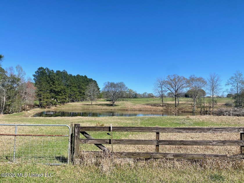 **Dream Horse &amp; Homesteader Paradise - 20 Acres in Lucedale, MS! - photo 14
