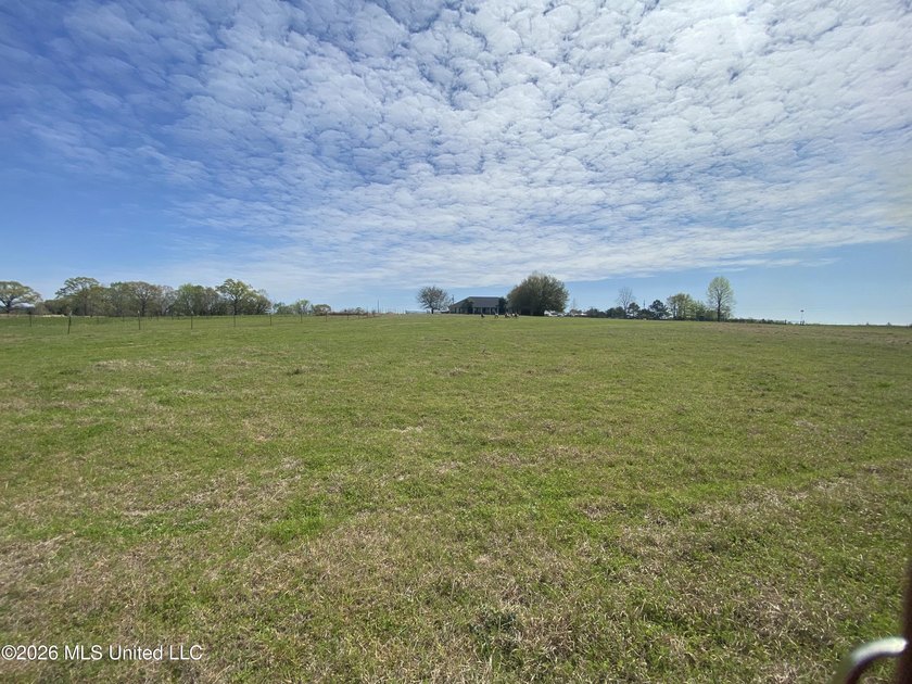 **Dream Horse &amp; Homesteader Paradise - 20 Acres in Lucedale, MS! - photo 15