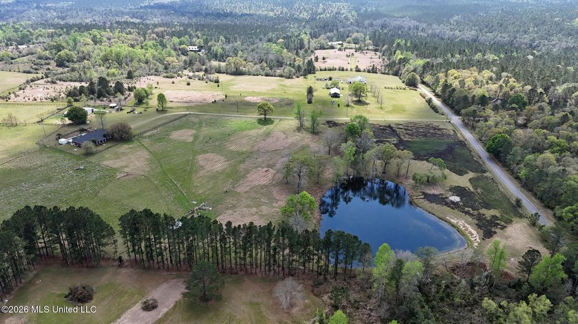 **Dream Horse &amp; Homesteader Paradise - 20 Acres in Lucedale, MS! - photo 16