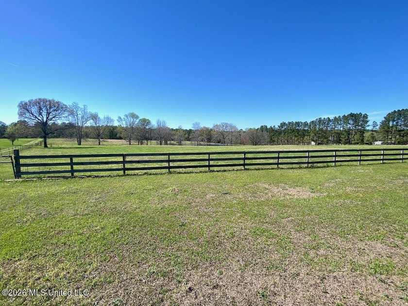 **Dream Horse &amp; Homesteader Paradise - 20 Acres in Lucedale, MS! - photo 18