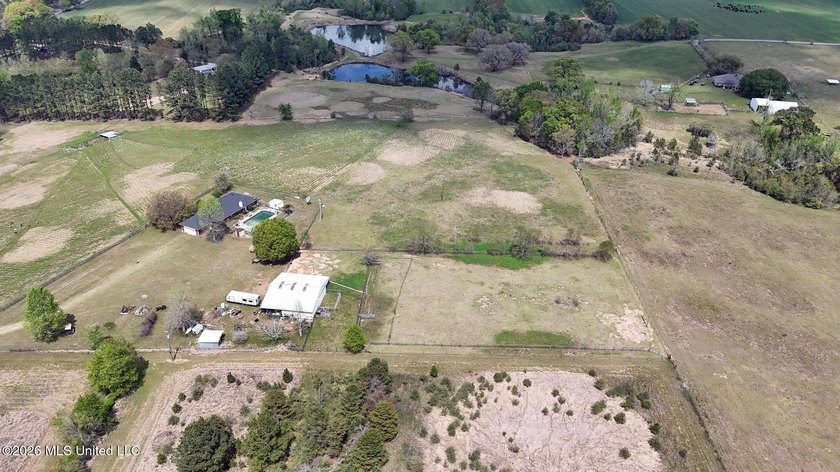 **Dream Horse &amp; Homesteader Paradise - 20 Acres in Lucedale, MS! - photo 21