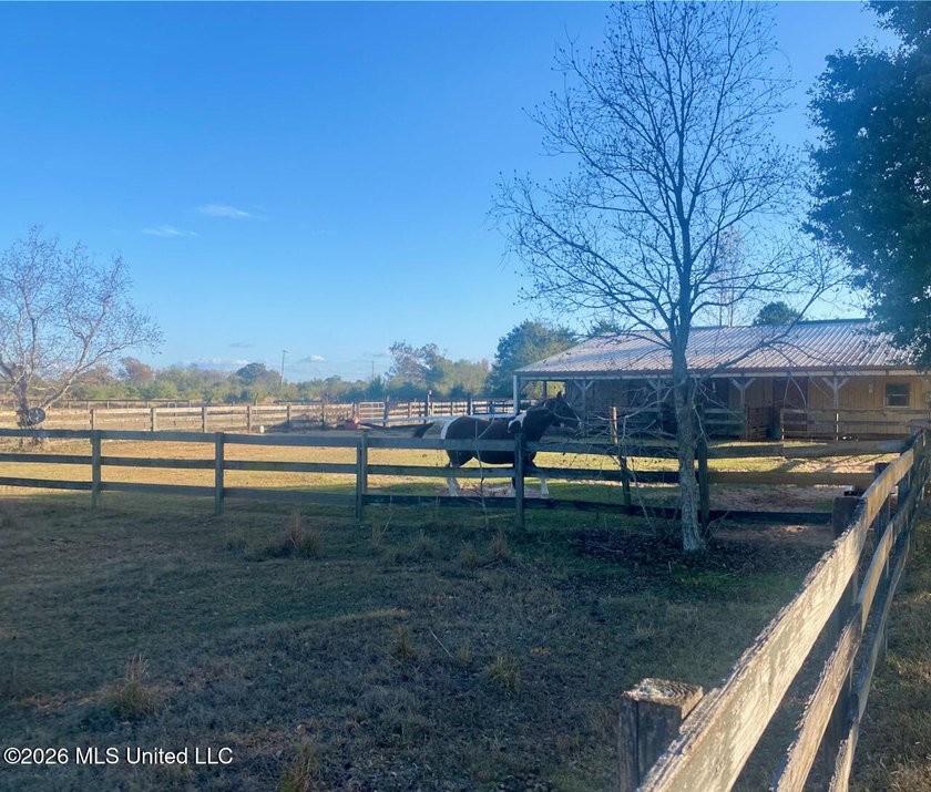 **Dream Horse &amp; Homesteader Paradise - 20 Acres in Lucedale, MS! - photo 29