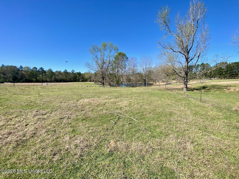 **Dream Horse &amp; Homesteader Paradise - 20 Acres in Lucedale, MS! - photo 32