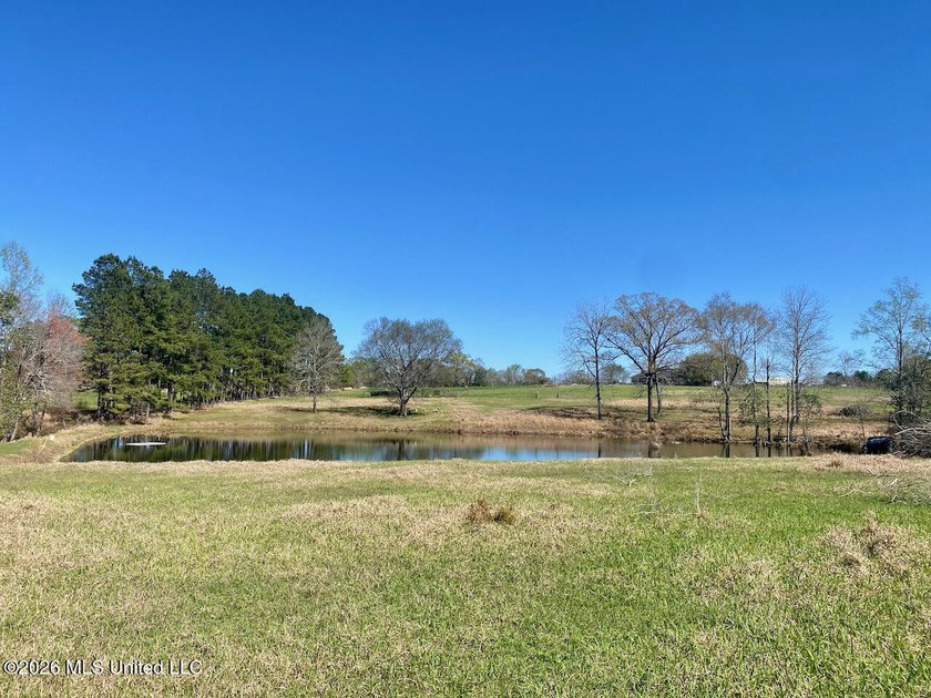 **Dream Horse &amp; Homesteader Paradise - 20 Acres in Lucedale, MS! - photo 34