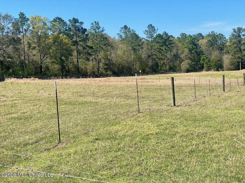 **Dream Horse &amp; Homesteader Paradise - 20 Acres in Lucedale, MS! - photo 38