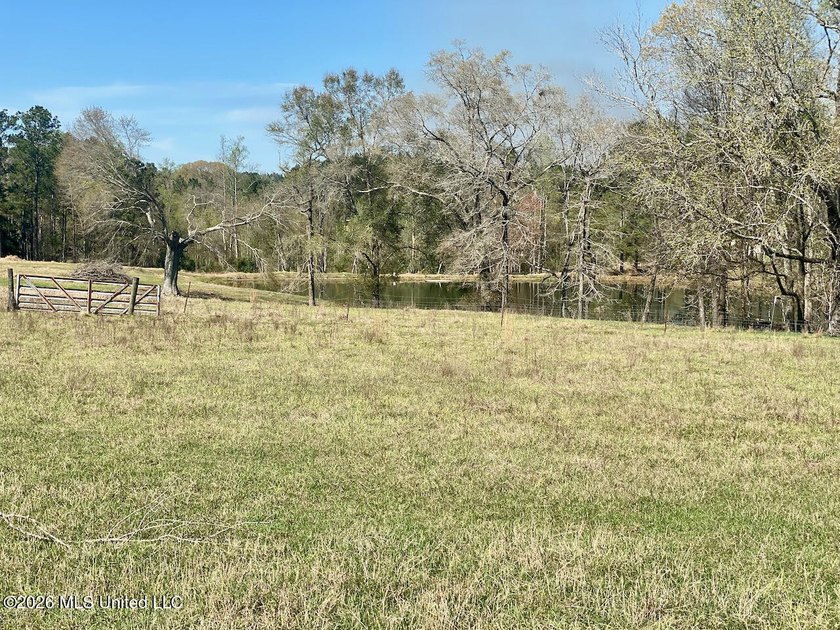 **Dream Horse &amp; Homesteader Paradise - 20 Acres in Lucedale, MS! - photo 40