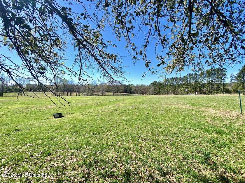**Dream Horse &amp; Homesteader Paradise - 20 Acres in Lucedale, MS! - photo 43