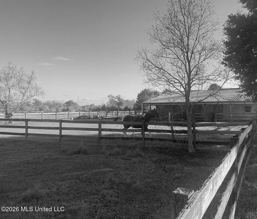 **Dream Horse &amp; Homesteader Paradise - 20 Acres in Lucedale, MS! - photo 47