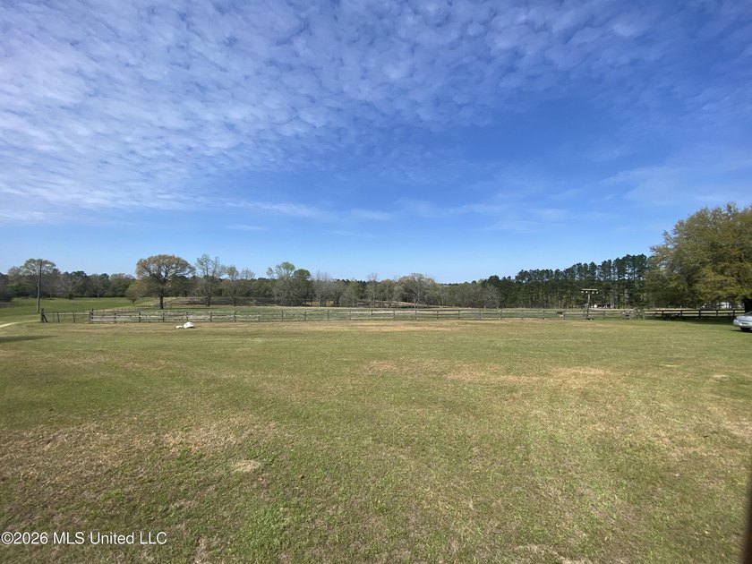 **Dream Horse &amp; Homesteader Paradise - 20 Acres in Lucedale, MS! - photo 49