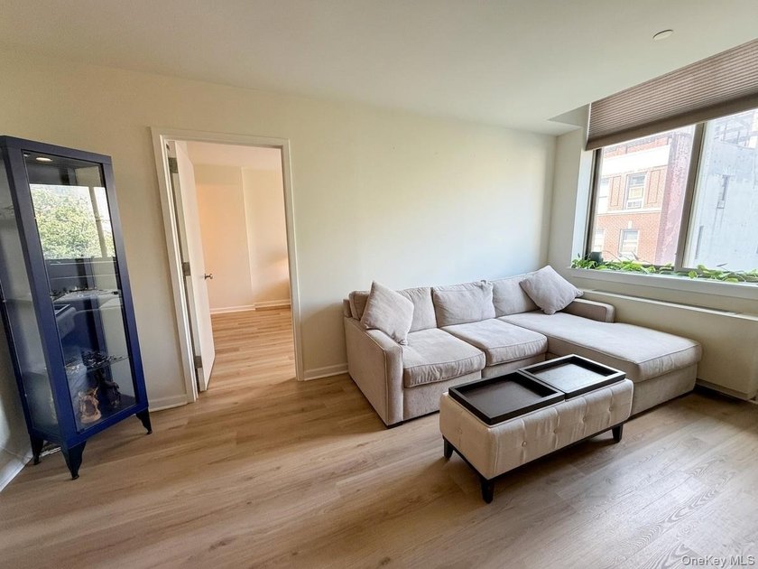 250 East 30th Street, Unit 5A | The Sycamore 2 Bedrooms | 2 Full - photo 6