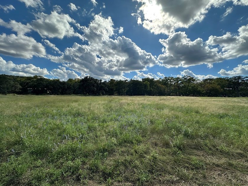 Discover the perfect blend of natural beauty and peaceful living - photo 2