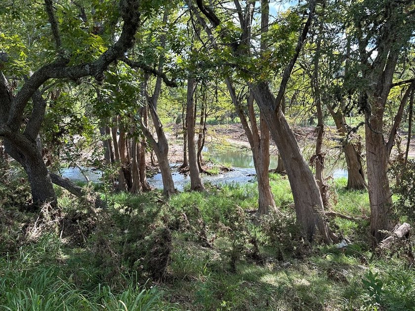 Discover the perfect blend of natural beauty and peaceful living - photo 4