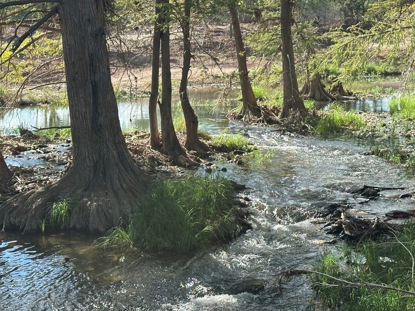 Discover the perfect blend of natural beauty and peaceful living - photo 5