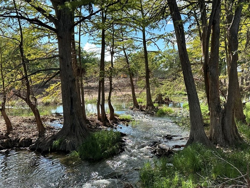 Discover the perfect blend of natural beauty and peaceful living - photo 6