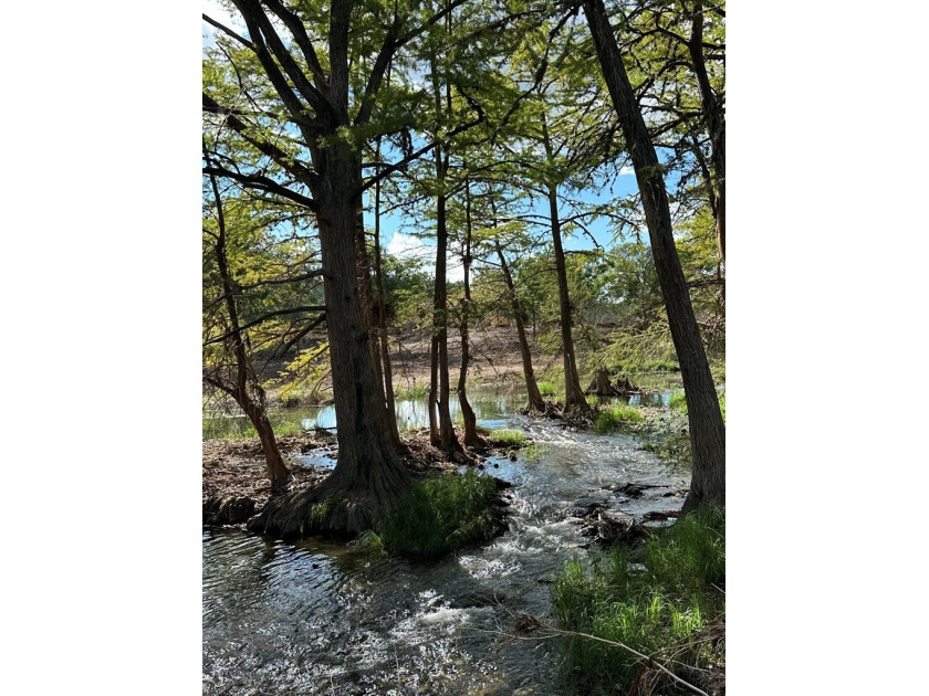 Discover the perfect blend of natural beauty and peaceful living - photo 7
