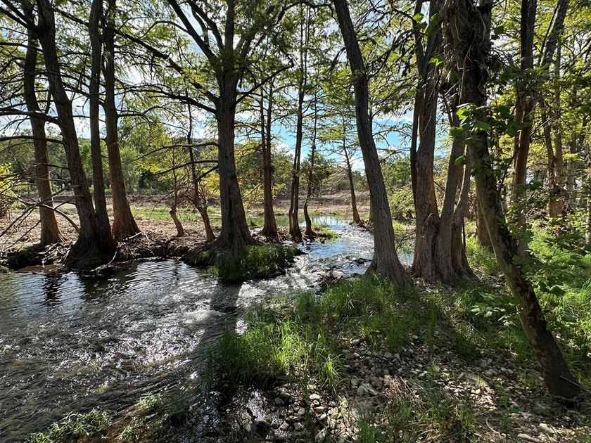 Discover the perfect blend of natural beauty and peaceful living - photo 8