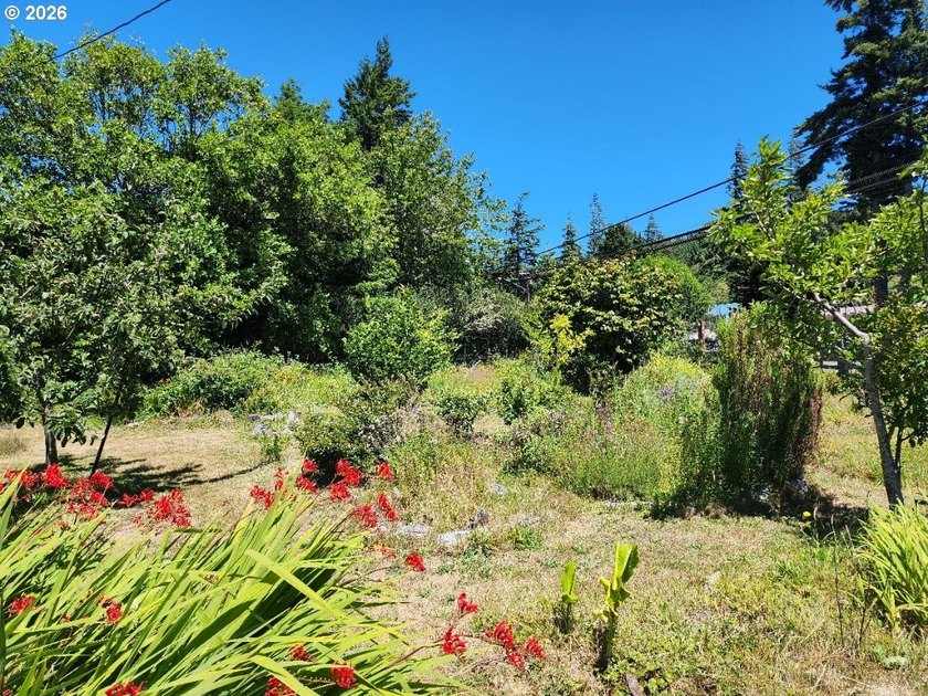 Welcome home to this well-maintained 3-bedroom, 2-bath property - photo 25