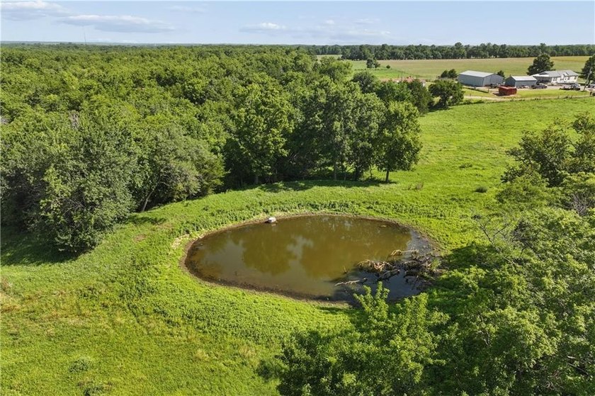 Perfect building site with this 19.63 of gentle rolling - photo 12