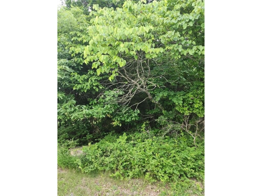 Are you looking for privacy, how about an oversized lot (70 X - photo 2