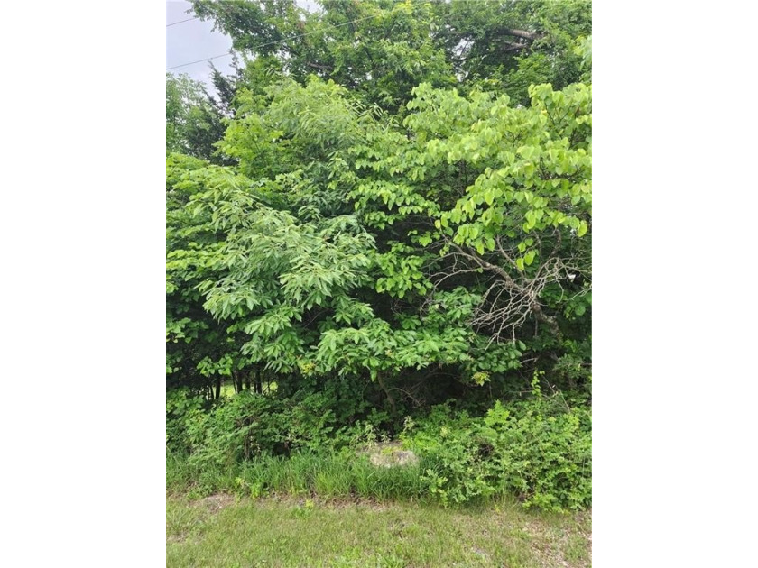 Are you looking for privacy, how about an oversized lot (70 X - photo 3