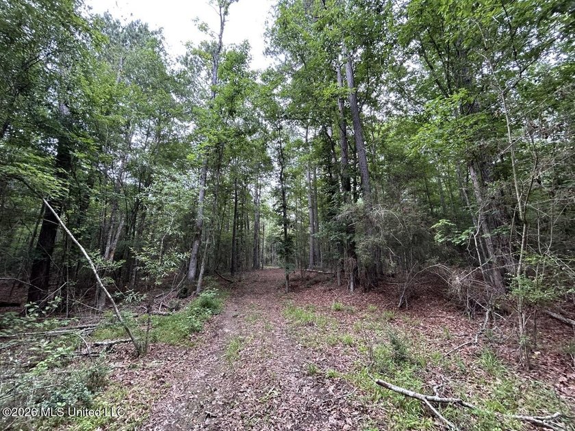 If you've been searching for a manageable hunting property with - photo 11
