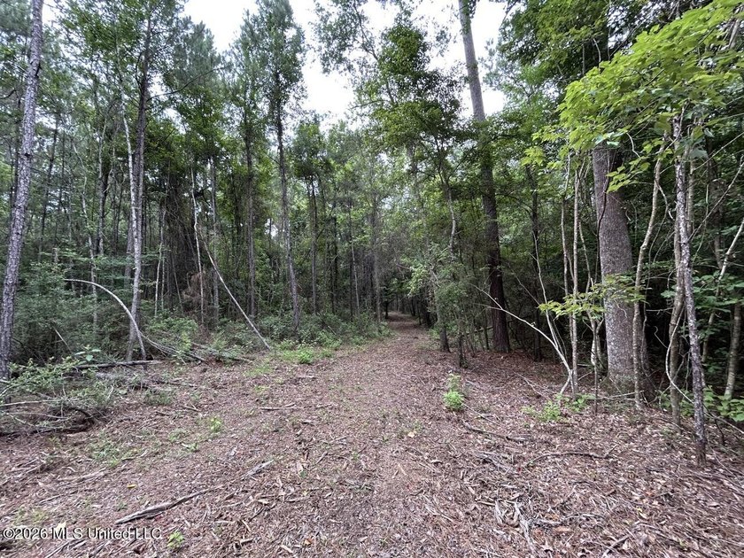 If you've been searching for a manageable hunting property with - photo 12