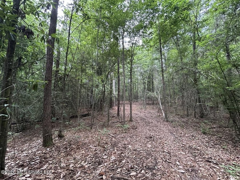 If you've been searching for a manageable hunting property with - photo 16