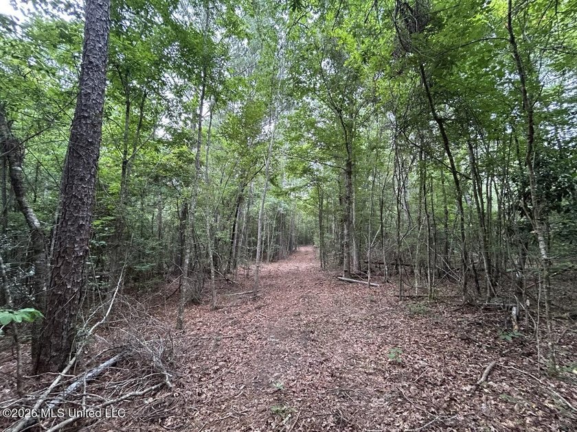 If you've been searching for a manageable hunting property with - photo 17