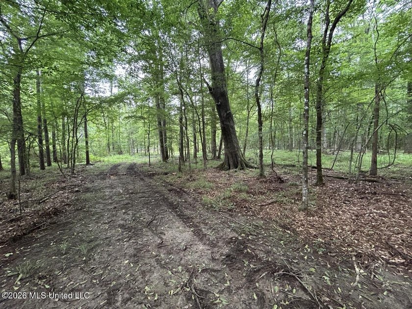 If you've been searching for a manageable hunting property with - photo 19