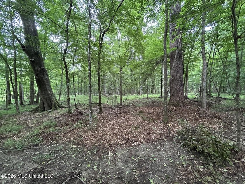 If you've been searching for a manageable hunting property with - photo 20