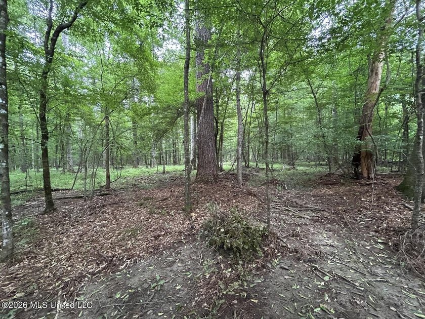 If you've been searching for a manageable hunting property with - photo 21