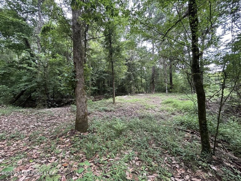 If you've been searching for a manageable hunting property with - photo 23
