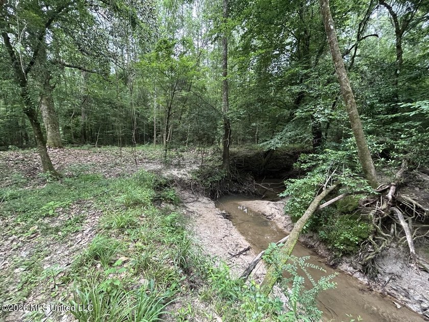If you've been searching for a manageable hunting property with - photo 25