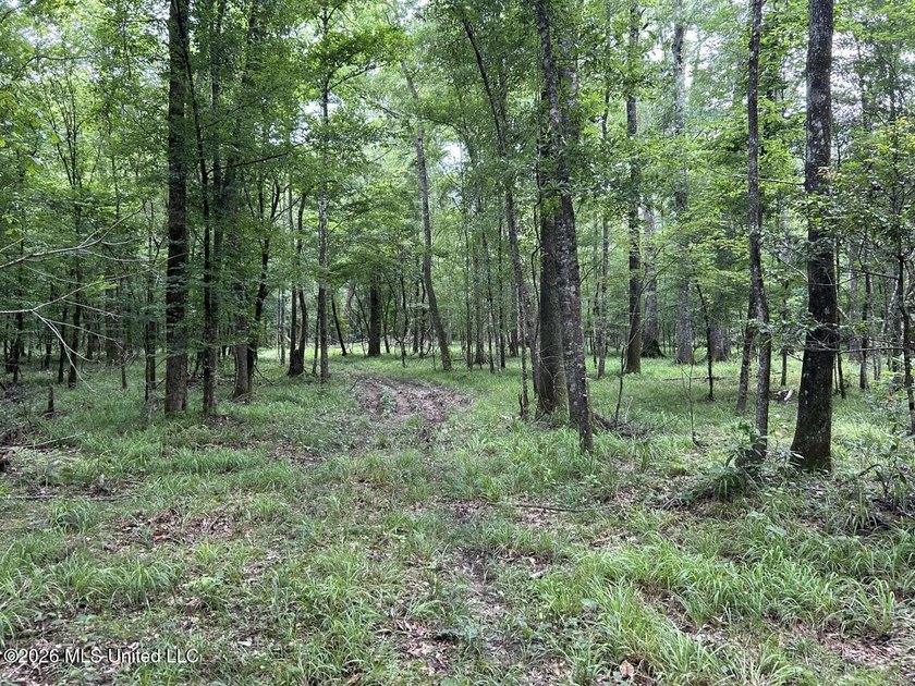 If you've been searching for a manageable hunting property with - photo 27