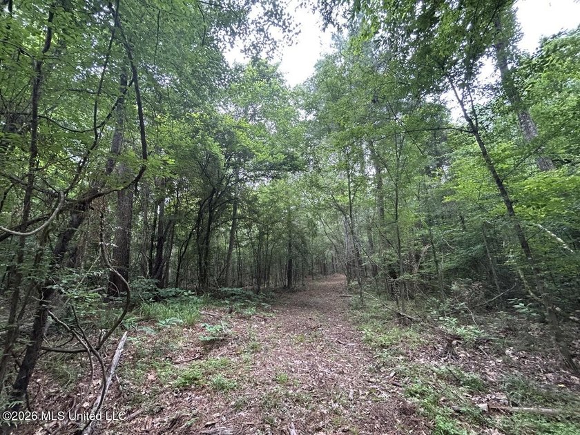 If you've been searching for a manageable hunting property with - photo 28