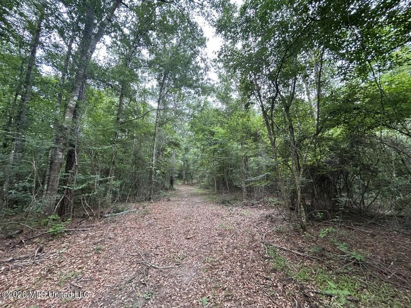 If you've been searching for a manageable hunting property with - photo 29