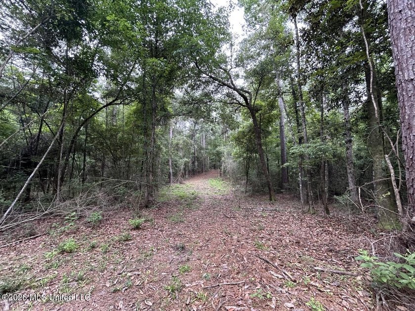 If you've been searching for a manageable hunting property with - photo 31