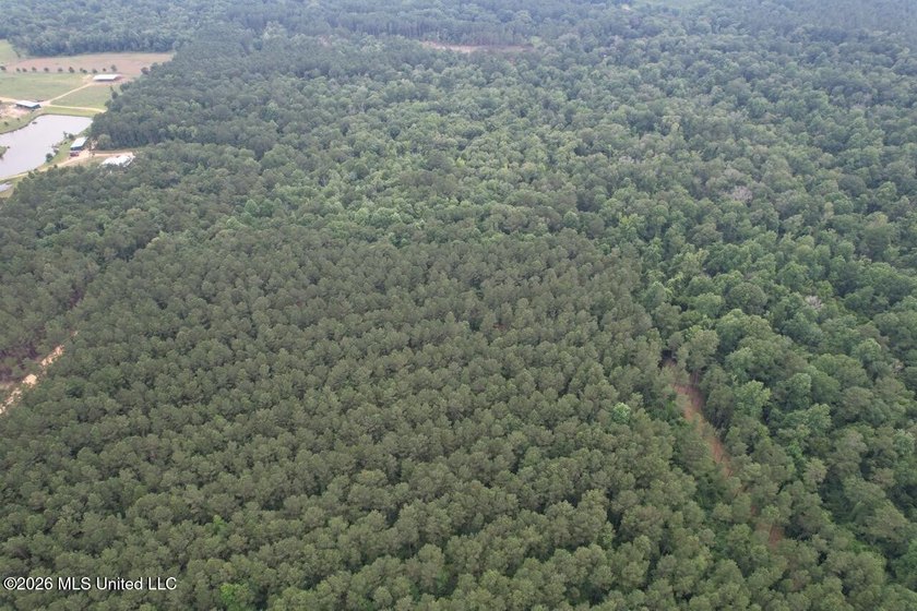 If you've been searching for a manageable hunting property with - photo 34