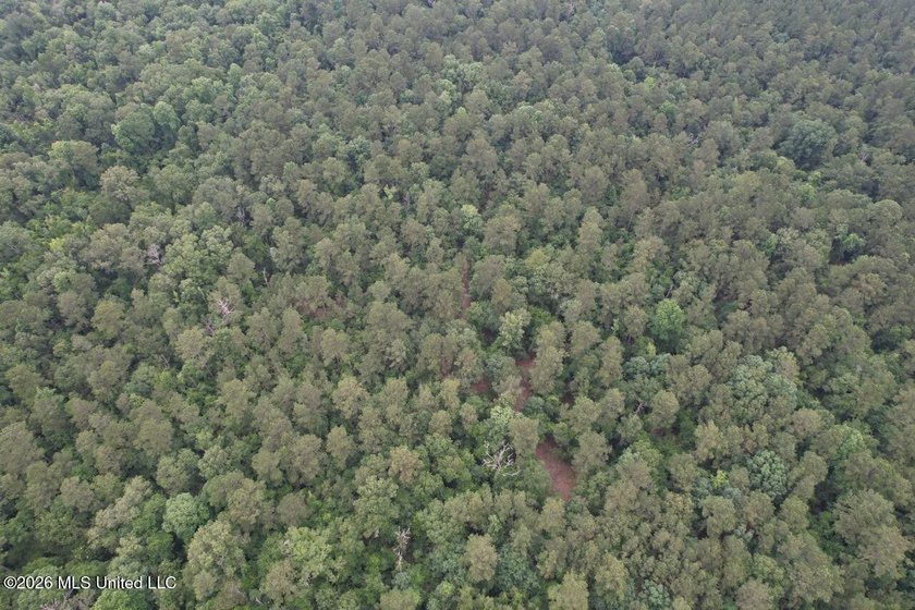 If you've been searching for a manageable hunting property with - photo 36