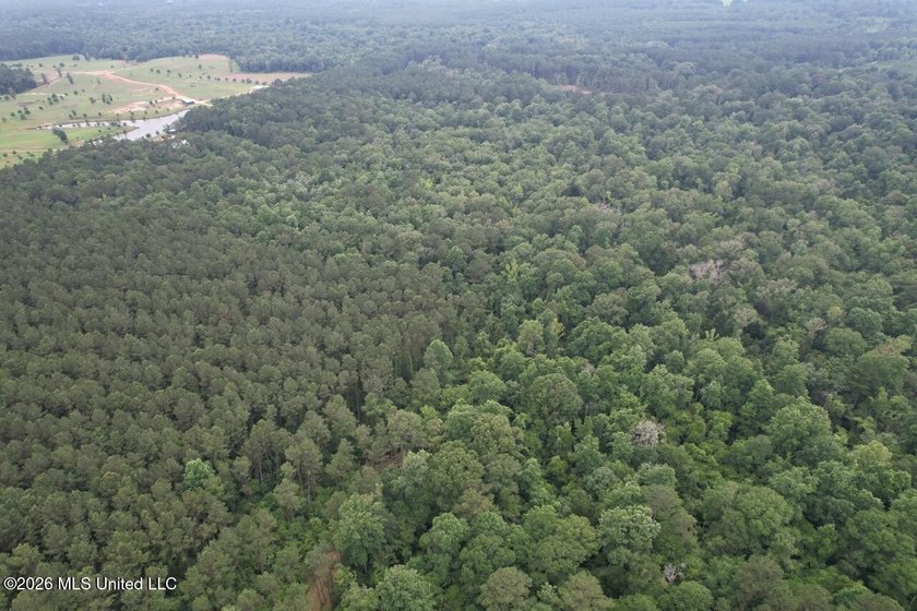 If you've been searching for a manageable hunting property with - photo 38