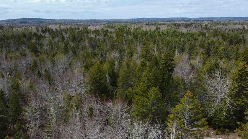 Tucked away in the private High Head community of East Machias - photo 16