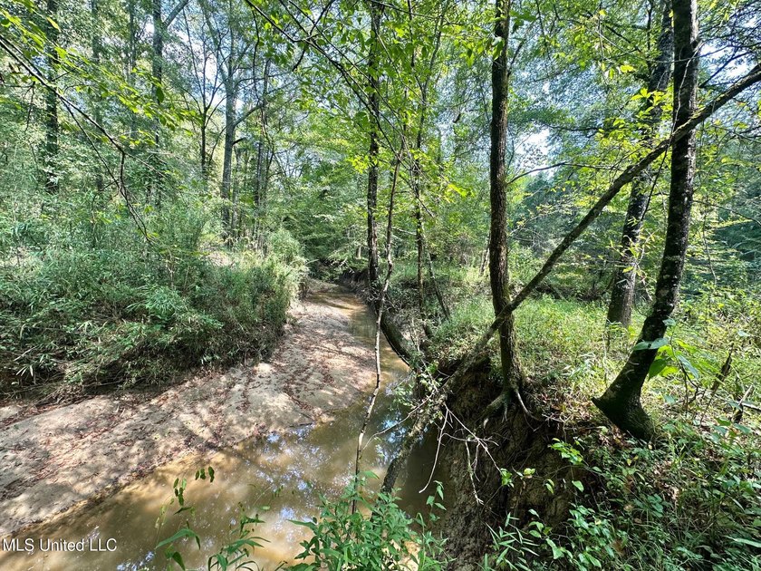 +/- 129 private acres nestled amongst nearly 180,000 acres of - photo 18