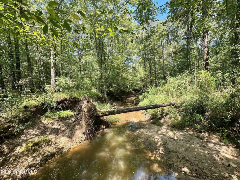 +/- 129 private acres nestled amongst nearly 180,000 acres of - photo 19