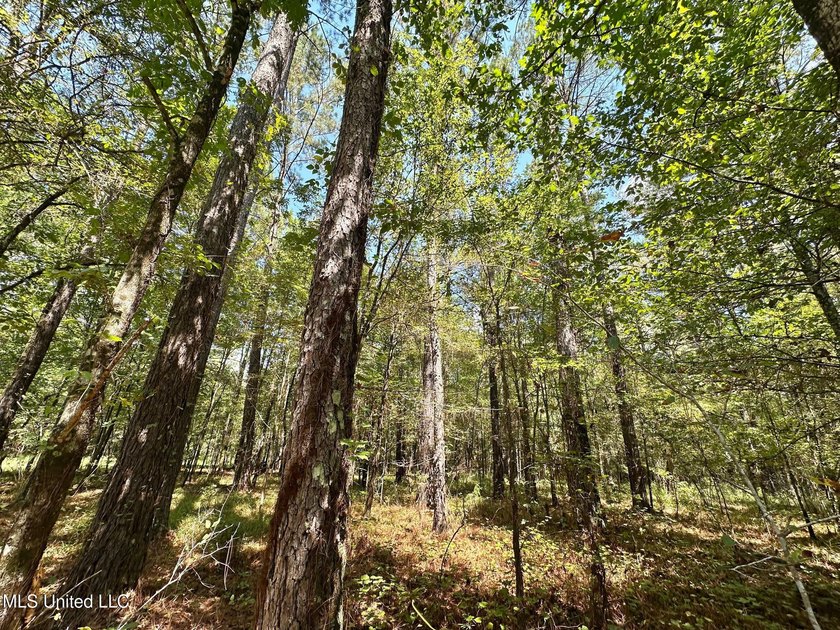 +/- 129 private acres nestled amongst nearly 180,000 acres of - photo 20