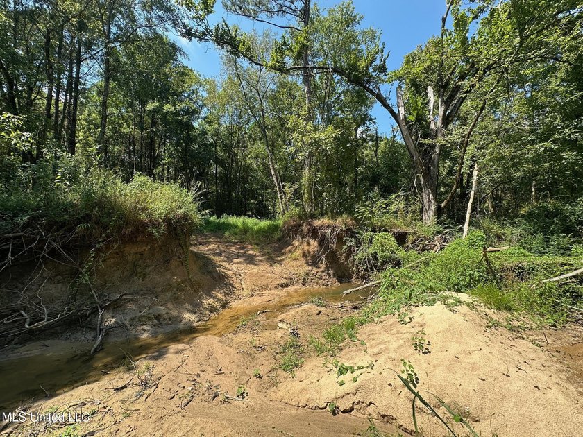 +/- 129 private acres nestled amongst nearly 180,000 acres of - photo 21