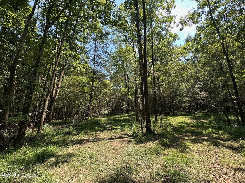 +/- 129 private acres nestled amongst nearly 180,000 acres of - photo 22