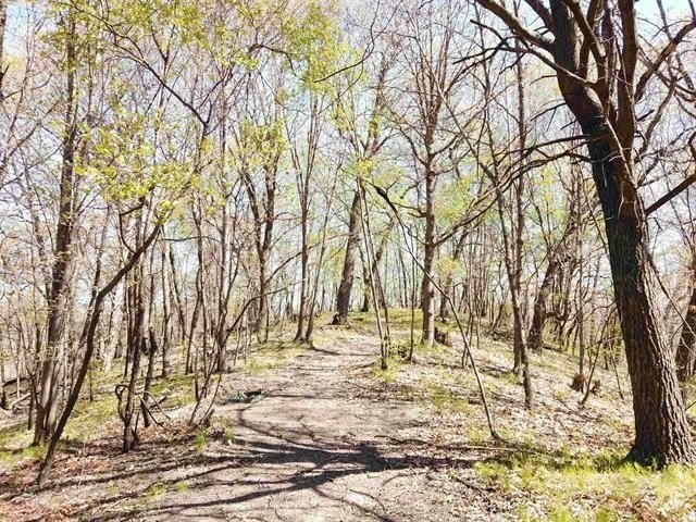 6.88-acre recreational property featuring a private pond, sand - photo 4
